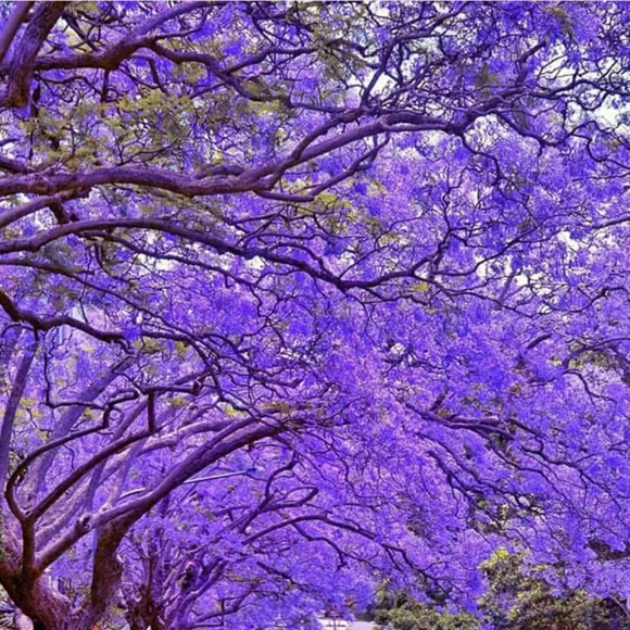 โฅ๏ธThank You Stopping Inโฅ๏ธ - Picture 1 of 5